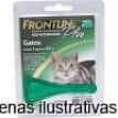 Frontline Plus para gatos